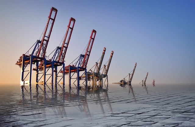 Bild: KraeneImMeer01 (Quelle: pixabay.com)