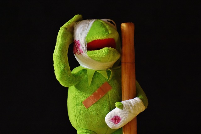 Bild: kermit-2001219_640 (Quelle: pixabay.com)