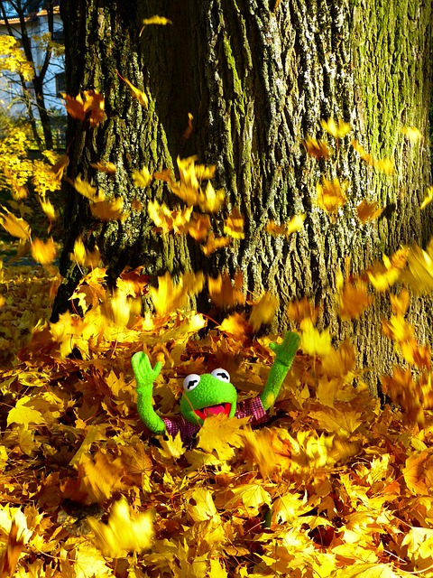 Gedichte zu picUnterhaltung03.jpg