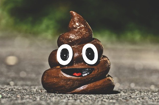 Bild: poop-4108423_640 (Quelle: pixabay.com)