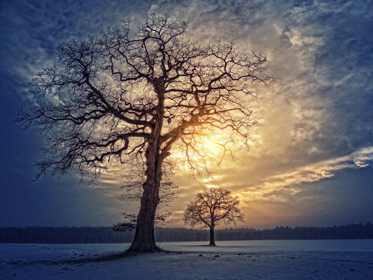 Bild: tree-3163891_1280 (Quelle: pixabay.com)