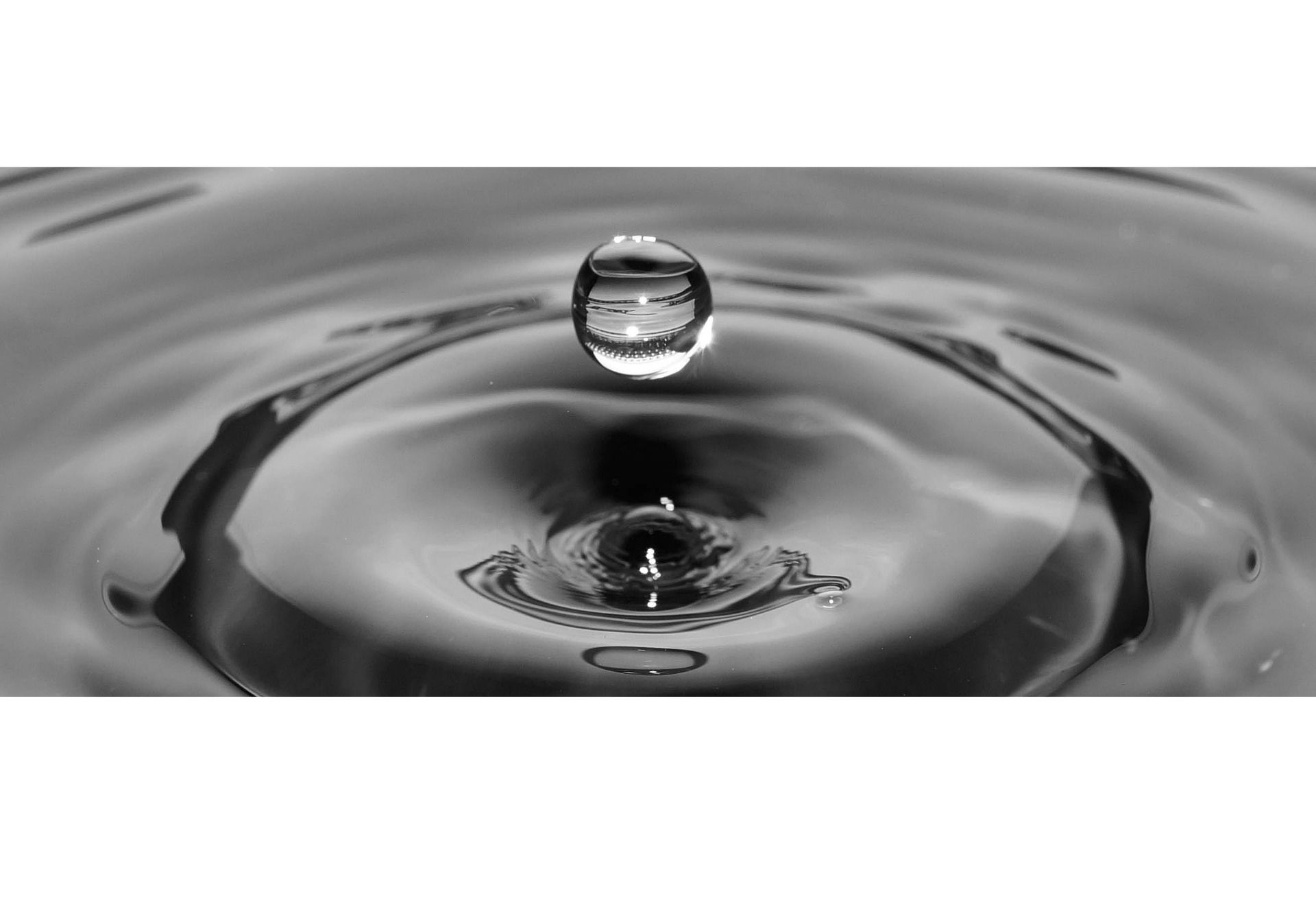 Bild: Untitled-design (Quelle: pixabay.com)