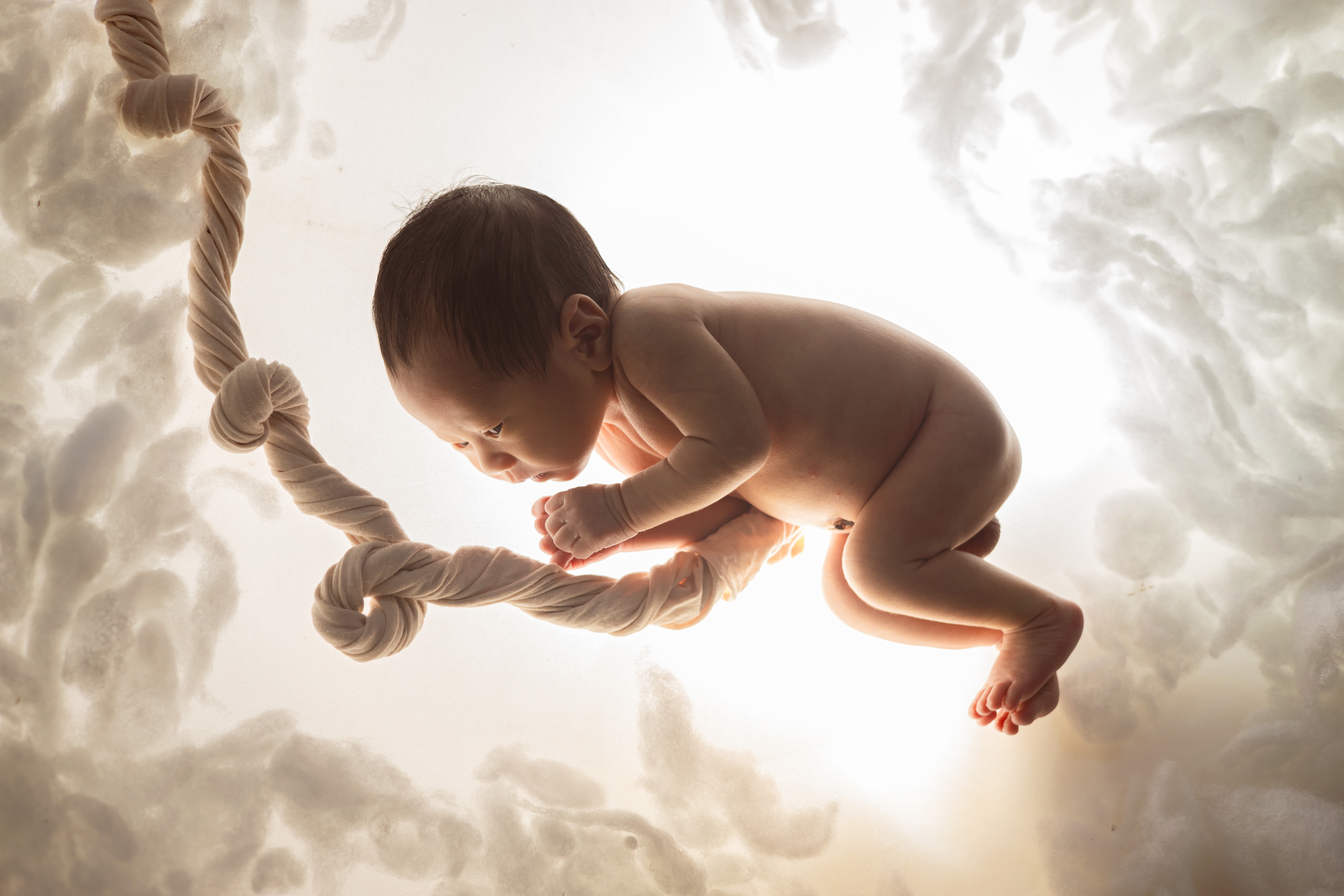 Bild: bongbabyhousevn-newborn-9972611 (Quelle: pixabay.com)